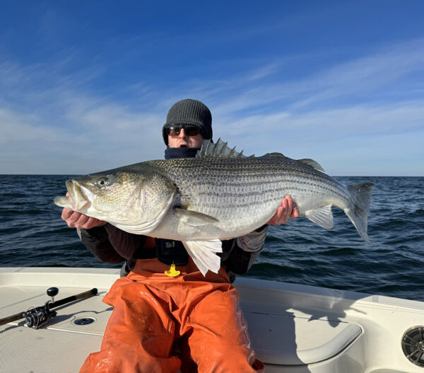 Image d'un homme tenant un gros bar sur un bateau.