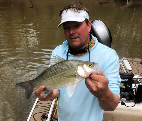 Une image du bar blanc