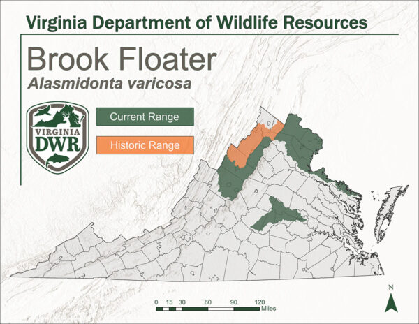 Carte de Virginia indiquant l'aire de répartition des Brook Floaters. L'aire de répartition historique est le nord de la Virginia, l'aire de répartition actuelle est le nord de la Virginia et une petite partie du centre de la Virginia.
