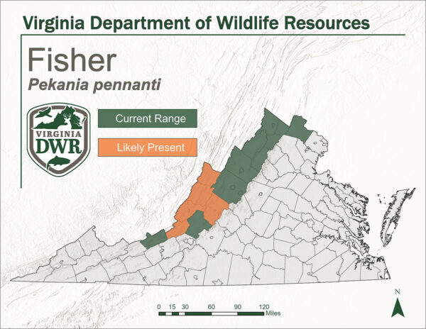 Une carte montrant la répartition des pêcheurs en Virginia