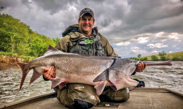Une image du poisson-spatule