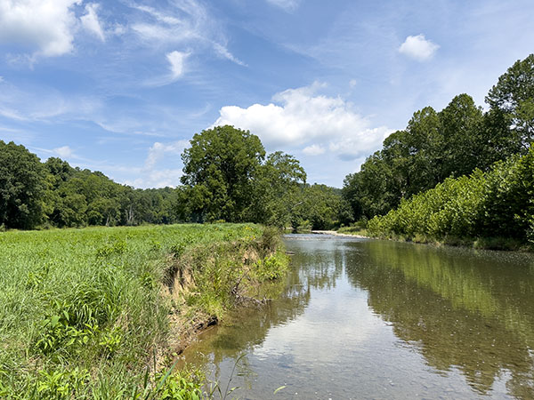 La rivière Cowpasture qui traverse la propriété attire les hérons sur les berges et les moucherolles dans les arbres de la rive. Crédit photo : Lisa Mease