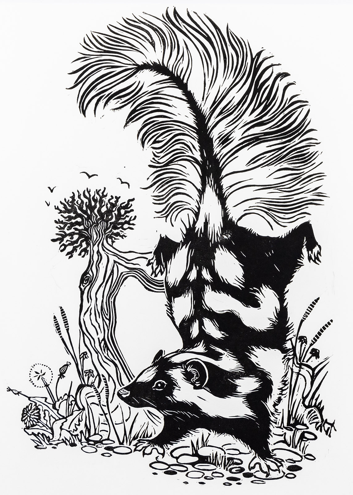 Impression en noir et blanc d'une moufette tachetée faisant le poirier près d'une souche d'arbre.
