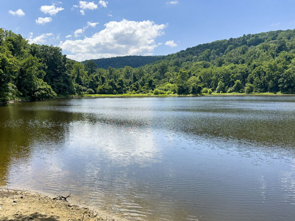Le lac Thompson attire les libellules, les papillons et les oiseaux aquatiques. Crédit photo : Lisa Mease