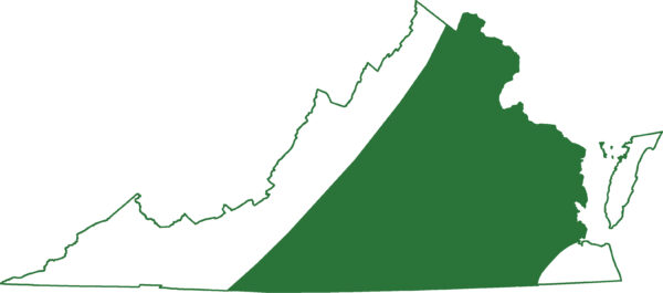 Carte de l'aire de répartition de la salamandre arborescente présente dans la majeure partie de la Virginie.