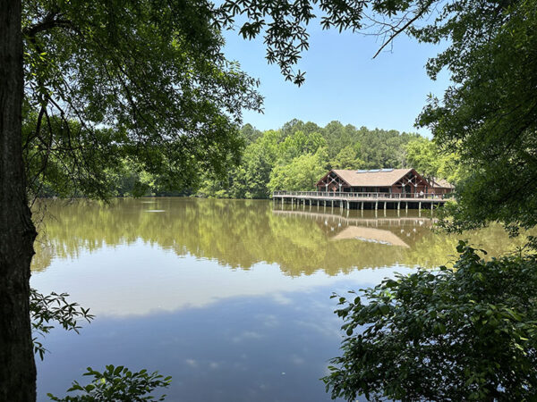 Les arbres et les arbustes qui entourent les lacs sont les endroits où l'on peut trouver les fauvettes protonotaires.
