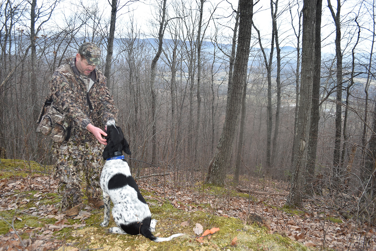 Bailey assis aux pieds de son propriétaire pendant qu'il lui dit "d'aller les chercher à nouveau" après l'échec de la première dispersion.