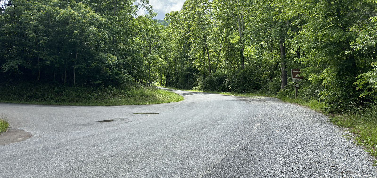 Photo d'une route tournant vers la gauche à travers les arbres avec une intersection de route en gravier à gauche.