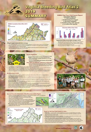 Cliquez pour ouvrir le résumé de VBBA2 en PDF