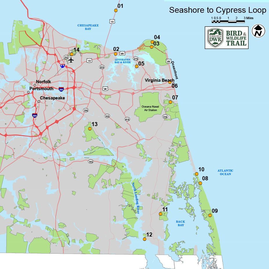 Cliquez pour ouvrir la carte dans un nouvel onglet de la boucle Seashore to Cypress