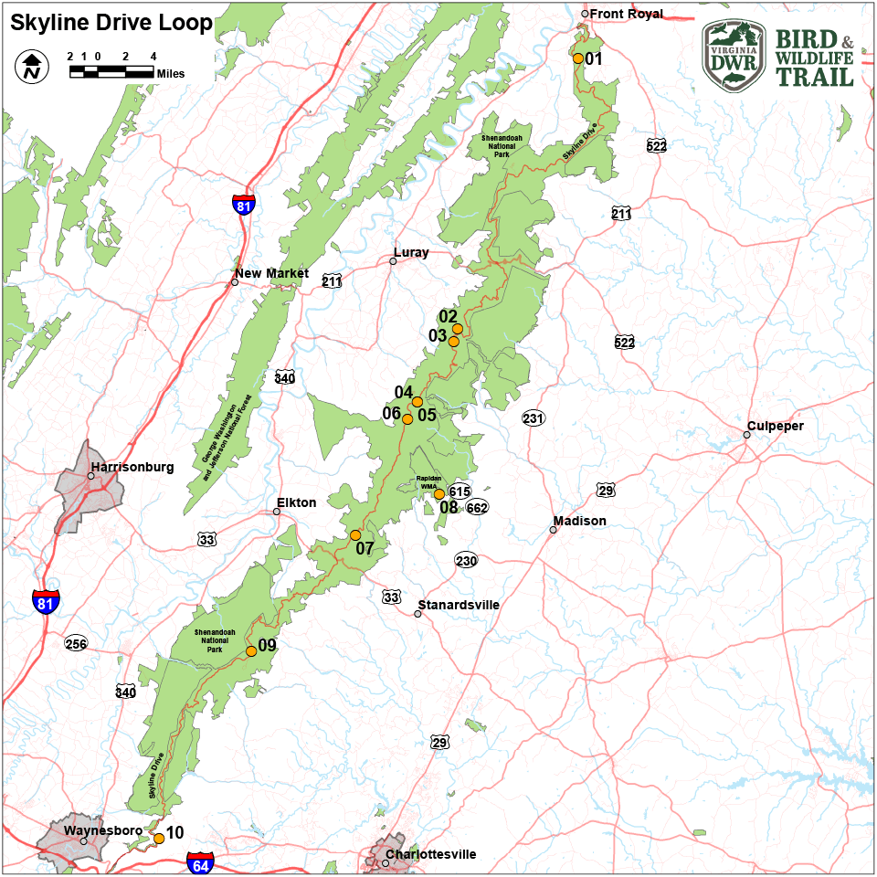 Cliquez pour ouvrir le PDF de la carte de la boucle Skyline drive