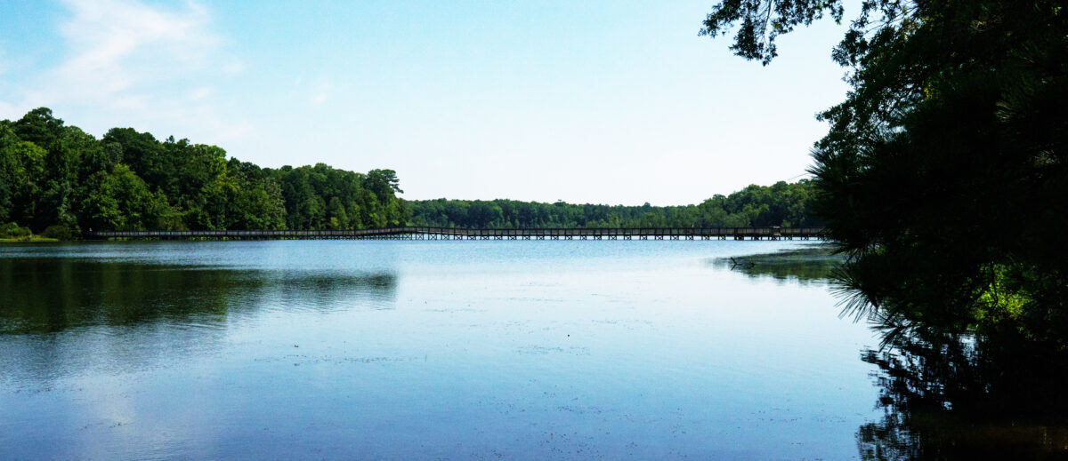 Vue du parc de Newport News.
