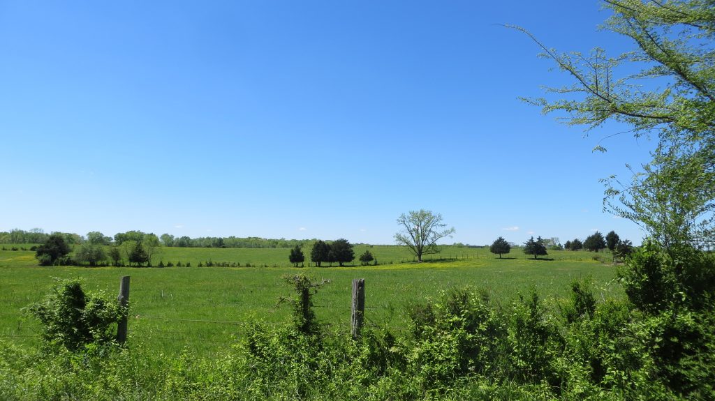 Une prairie bordée de clôtures et d'arbres clairsemés