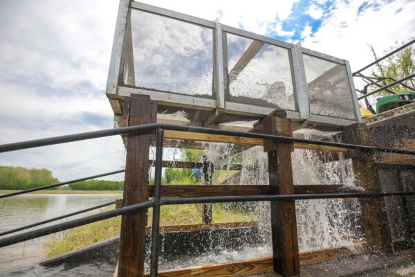 Système d'écloserie qui transporte les poissons vers les bassins.