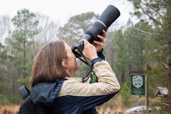 Une personne prenant une photo avec un appareil dirigé vers la cime des arbres