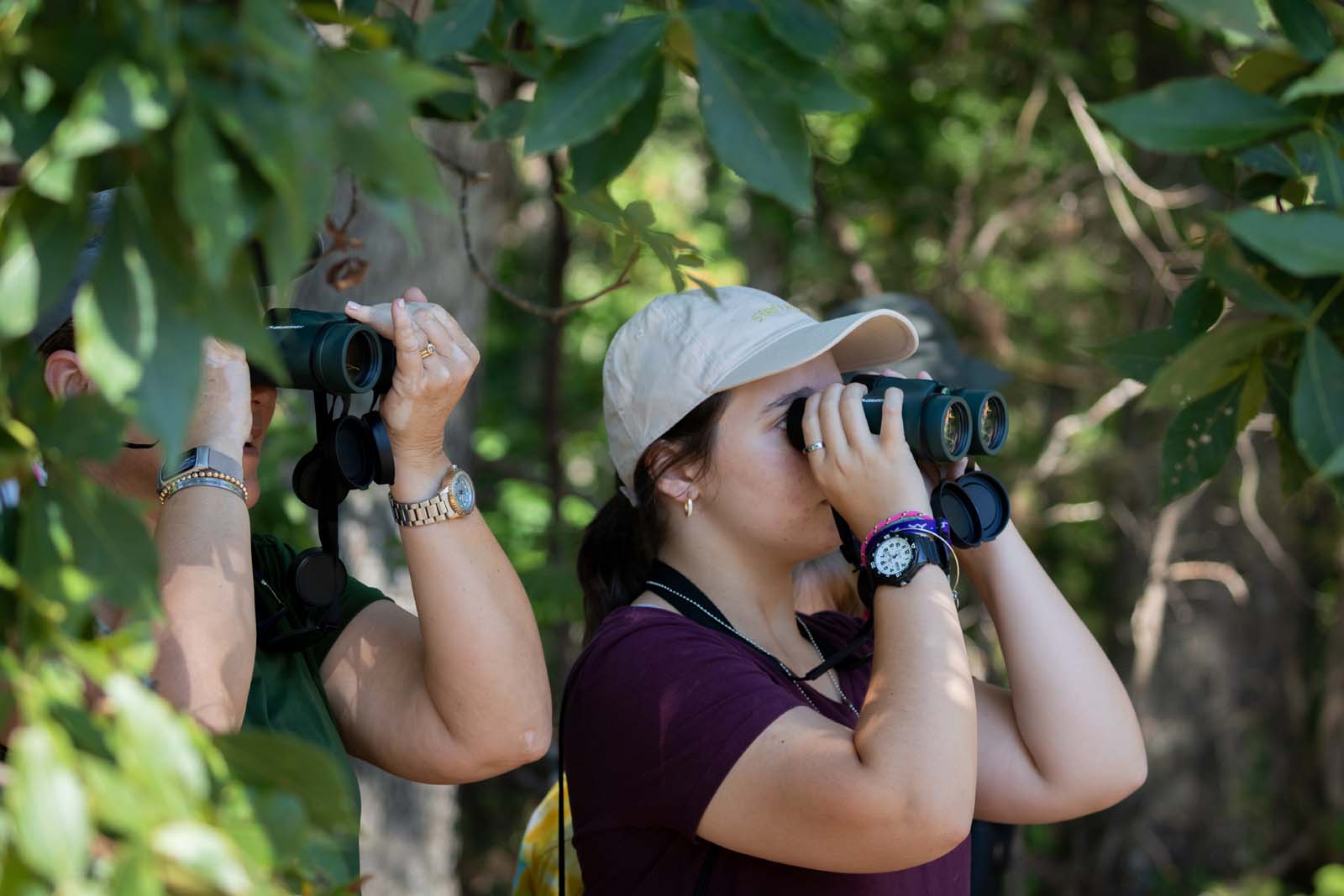 Une image en rapport avec ce sujet