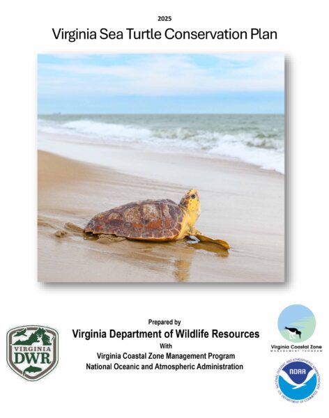 Couverture du plan de conservation des tortues de mer de Virginia