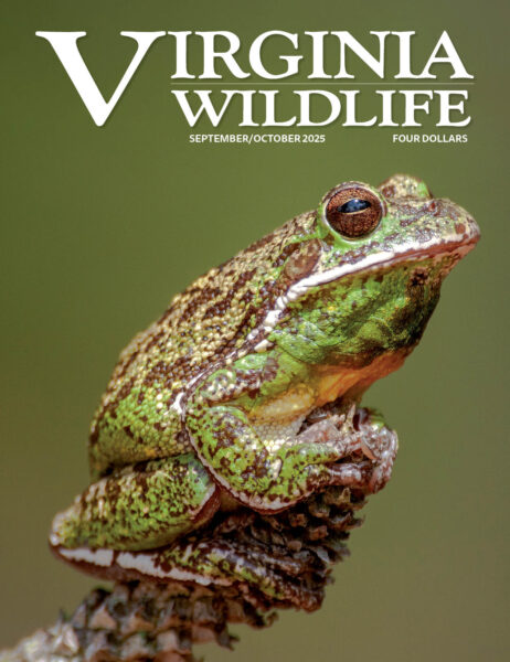 Septembre-octobre 2025 Virginia Wildlife Magazine image de couverture