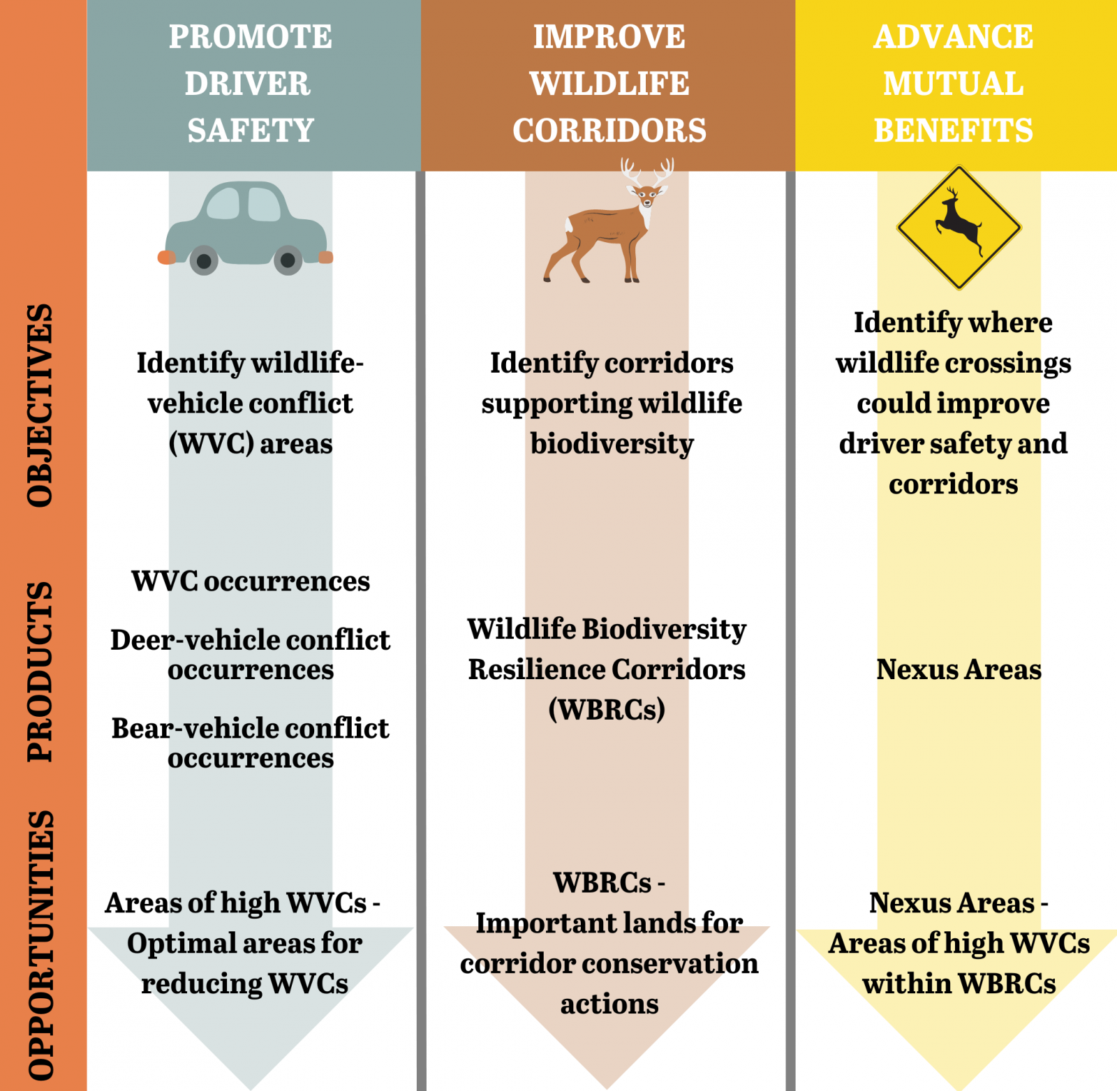 Ce graphique décrit les voies d'accès à l'information et les outils les mieux adaptés à la réalisation des trois thèmes principaux du plan. Ces thèmes sont les suivants : 1) promouvoir la sécurité des conducteurs, 2) améliorer les corridors pour la faune, et 3) une combinaison de ces deux thèmes qui se concentre sur les avantages mutuels pour les conducteurs et la faune.