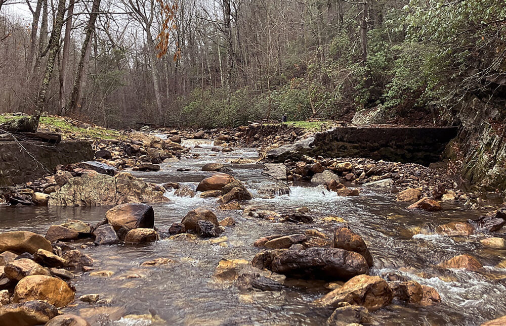 Image d'une rivière dont le barrage en béton a été enlevé et est visible des deux côtés du cours d'eau ; cela permet aux organismes de se déplacer d'un côté à l'autre de la frontière auparavant impénétrable.