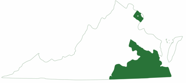 Le glisseur à ventre jaune est présent dans toute la région du bas de l'est de la Virginie.