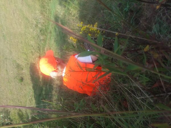 Image d'un garçon vêtu d'un gilet de visibilité orange qui guette les cerfs à abattre.