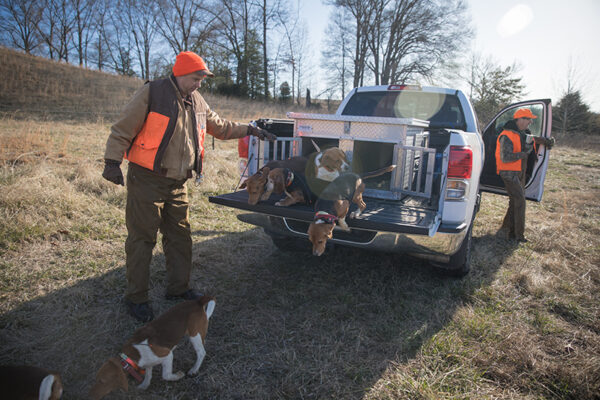 Une image de chasseurs laissant sortir leurs chiens de la camionnette.