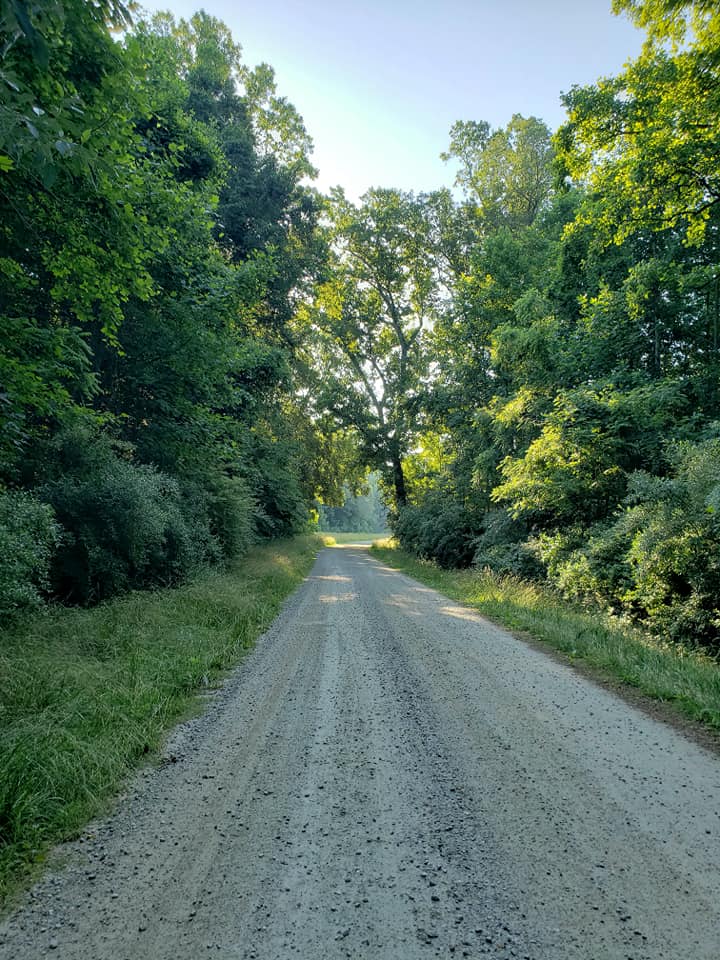 Image d'un chemin de gravier permettant d'accéder à l'AMM d'Amelia.