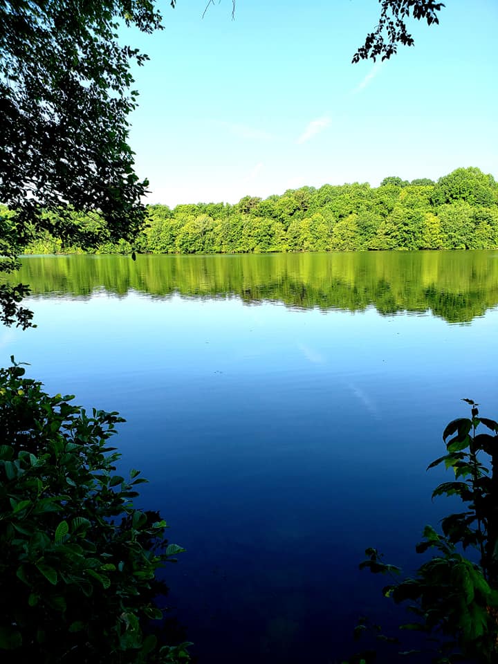 Image d'un lac dans l'AMM d'Amelia