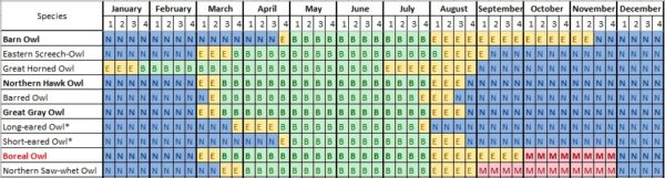 image du rapport sur le code de reproduction des hiboux