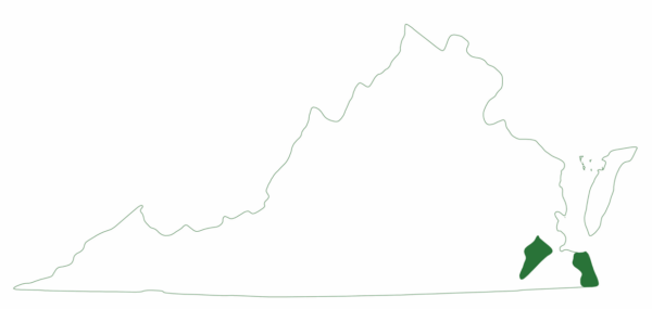 La carte de l'aire de répartition de la tortue poule ; on ne la trouve qu'en deux endroits en Virginie.