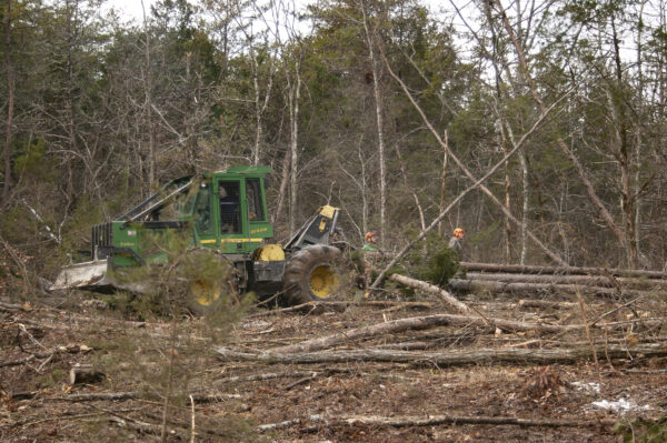 Un véhicule de construction effectuant une coupe à blanc dans une forêt pour créer un habitat pour les cerfs.