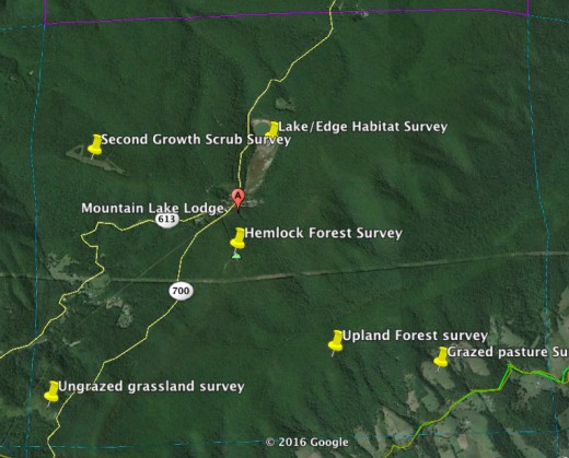 Figure 2. Eggleston NE Atlas Block. Notez l'emplacement des points d'enquête en fonction des types d'habitat.