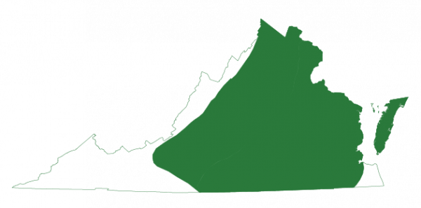 L'épeire orientale se trouve sur les îles-barrières de Virginie et dans les provinces du piémont et de la côte.