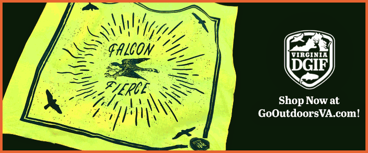 Cliquez sur l'image pour ouvrir le lien vers le site de la boutique DWR