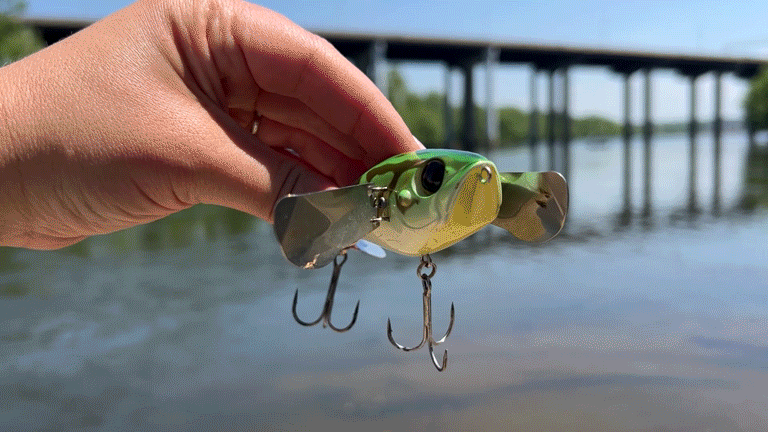 Une courte vidéo d'une personne tenant un crawler topwater efficace.