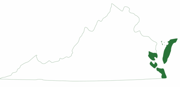 La tortue luth ne se trouve que dans certaines régions de la côte est de la Virginie.