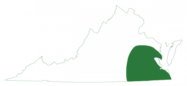 La rainette des pins se trouve dans les régions du sud-est de la Virginie, dans la plaine côtière.
