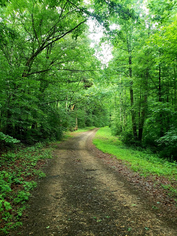 Une image d'un chemin de terre qui accède à la Powhatan WMA