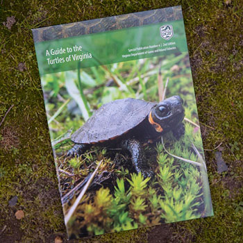 ShopDGIF-turtleguide01_Un lien vers le site de la DGIF