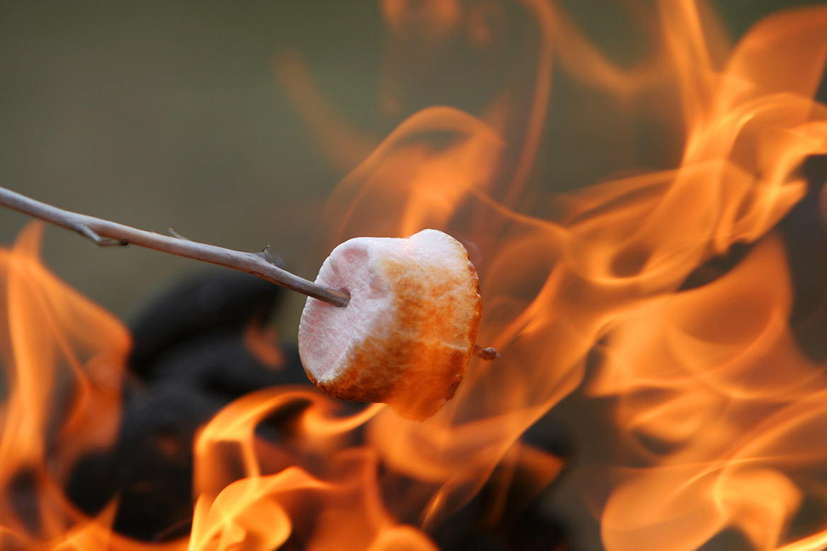 Un marshmallow légèrement carbonisé sur un bâton est maintenu dans les flammes orange d'un feu de camp.