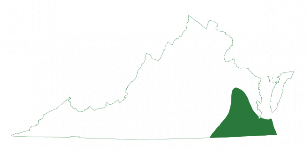 Une image de la carte de l'aire de répartition du crapaud du sud qui se trouve à la frontière sud-est de la Virginie.