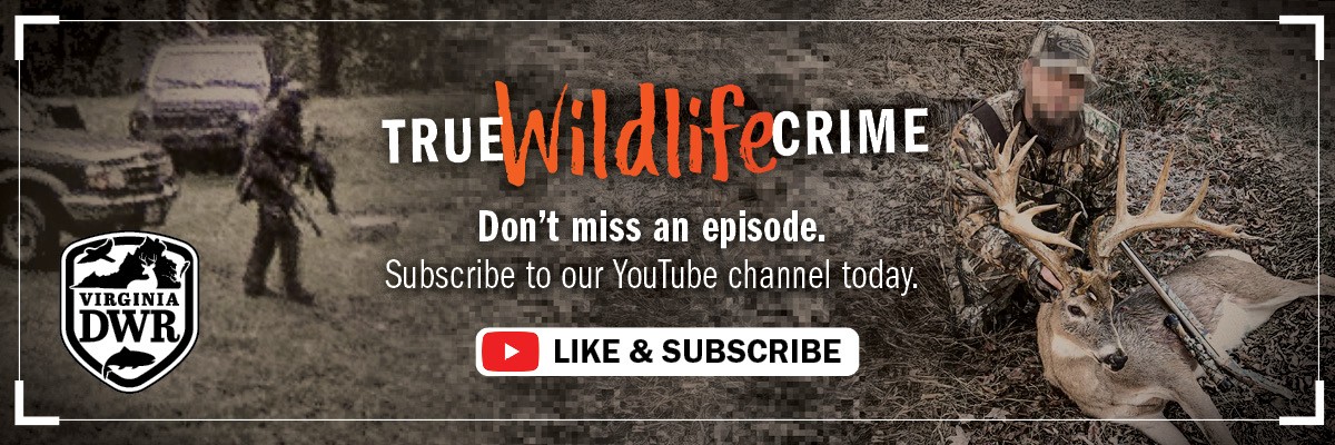 Ne manquez pas un épisode de True Wildlife Crime ! Abonnez-vous à notre chaîne YouTube dès aujourd'hui. 