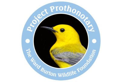 Cliquez pour ouvrir le lien vers la fondation Ward Burton Wildlife