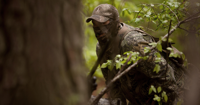 Cliquez pour ouvrir le lien concernant la réglementation de la chasse aux dindes